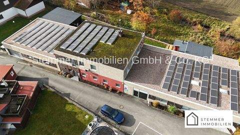 Weiden Halle, Weiden Hallenfläche