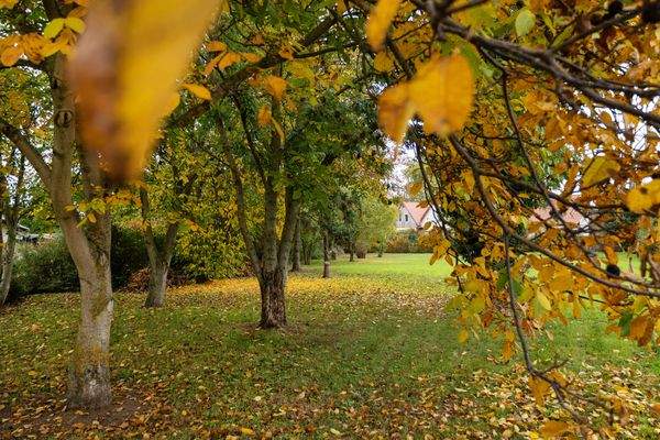 Blick aufs Gartengrundstück