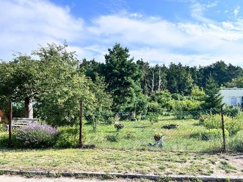 Am Mellensee Grundstücke, Am Mellensee Grundstück kaufen