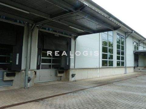 Berlin Halle, Berlin Hallenfläche