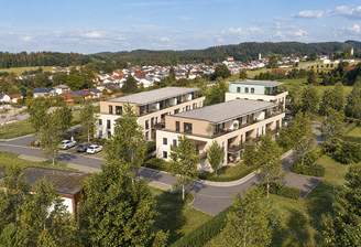 Vogel Süd-West.png