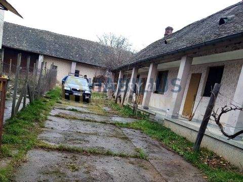 Ilok Häuser, Ilok Haus kaufen