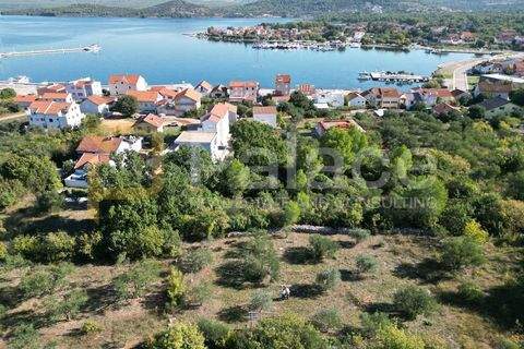Bilice Bauernhöfe, Landwirtschaft, Bilice Forstwirtschaft