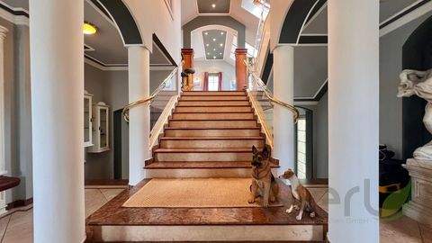 Anif Häuser, Anif Haus kaufen