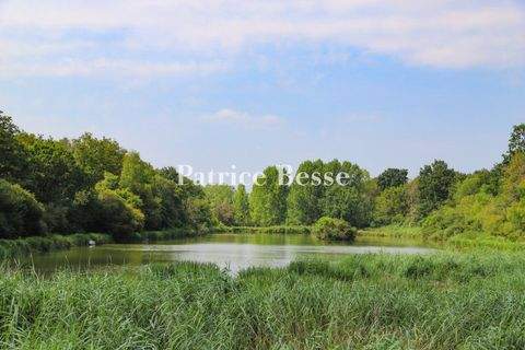 Angers Bauernhöfe, Landwirtschaft, Angers Forstwirtschaft