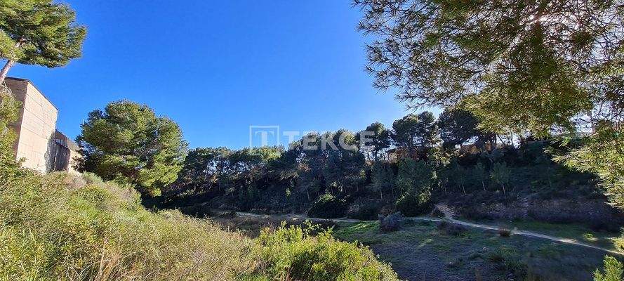 Standalone Villa with a Swimming Pool in Pinar de Campoverde