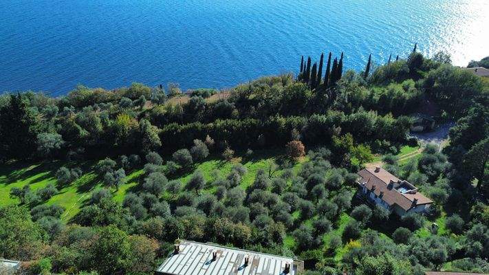 dji_fly_20241104_120542_282_1730718527582_photo_op