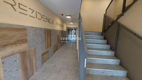 Ljubljana Wohnungen, Ljubljana Wohnung kaufen