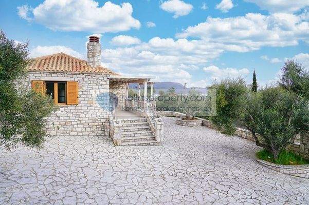 389e880050484c6683f5ebed82525c27-original