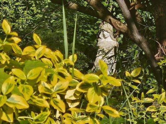 Verwunschene Einblicke