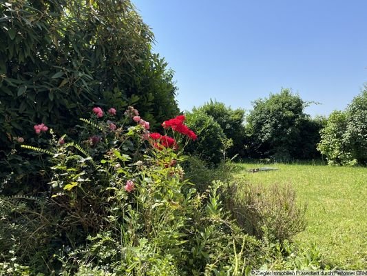 03a EG Gartenblick von Terrasse