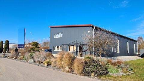 Barbing Halle, Barbing Hallenfläche