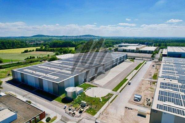 INFOS UNTER: 06171-586000