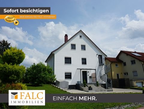 Binau Häuser, Binau Haus kaufen
