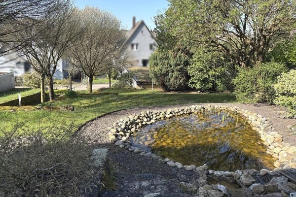 Vorgarten mit Teich