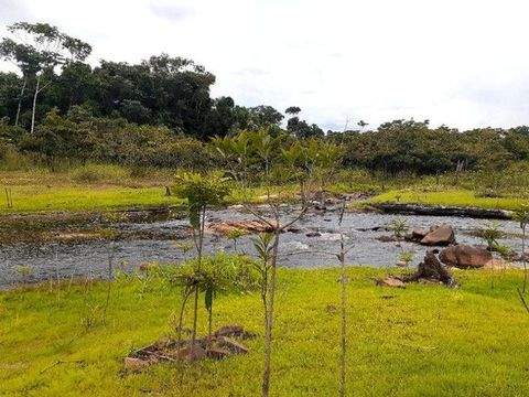 Presidente Figueiredo-Balbina Grundstücke, Presidente Figueiredo-Balbina Grundstück kaufen