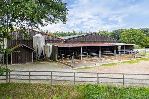 Laufställe mit Paddockboxen und Futterhäuschen