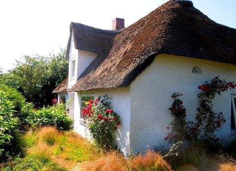 Niebüll Häuser, Niebüll Haus kaufen