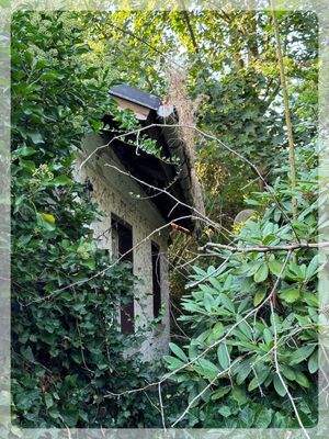 Bungalow und Nebengebäude abrissreif