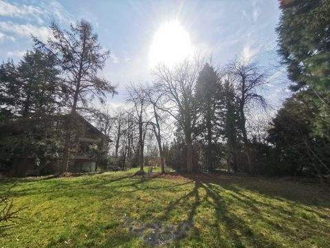 Bad Waldsee Häuser, Bad Waldsee Haus kaufen