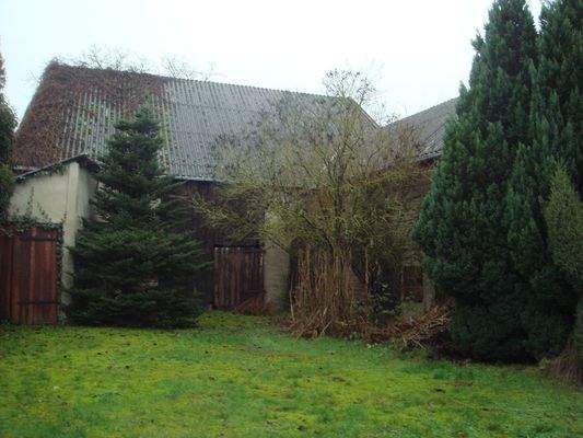 Bild  8,9,10, Baumbewuchs Innenhofbereich 