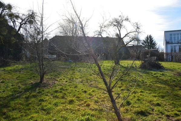 Blick zum Haus aus dem Garten