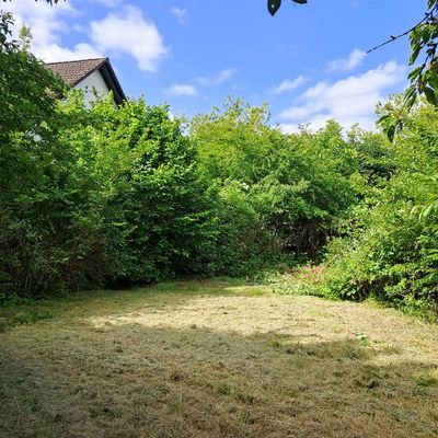 Bild3