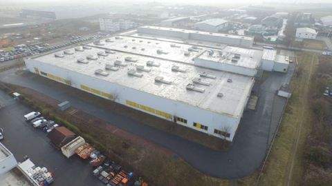 Stockstadt Halle, Stockstadt Hallenfläche