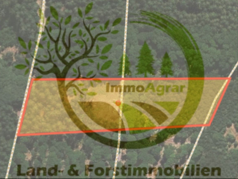 Wald-Michelbach Bauernhöfe, Landwirtschaft, Wald-Michelbach Forstwirtschaft