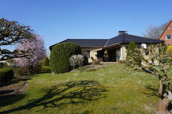 Blick aus dem Garten 2