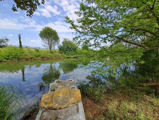 PHOTO-2024-04-29-15-33-35 2.jpg