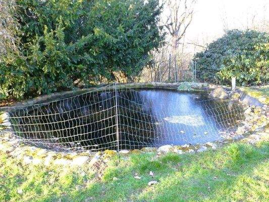 08 Garten, Teich.JPG