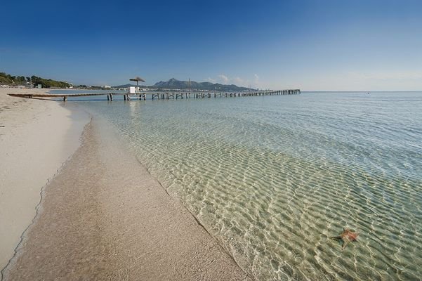 Beach of Port Alcudia 5
