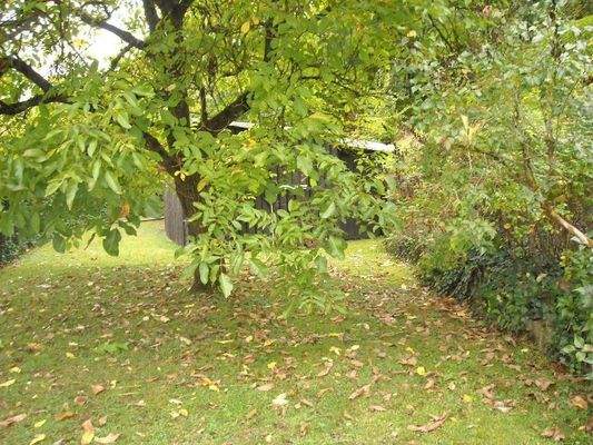 2021-12-03 02.45.03.jpg