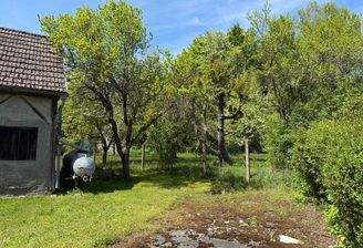 Blick in die Gärten