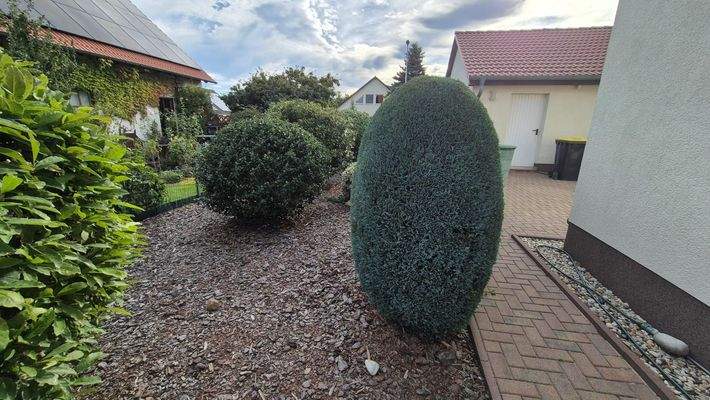 weitere Beete im hinteren Bereich