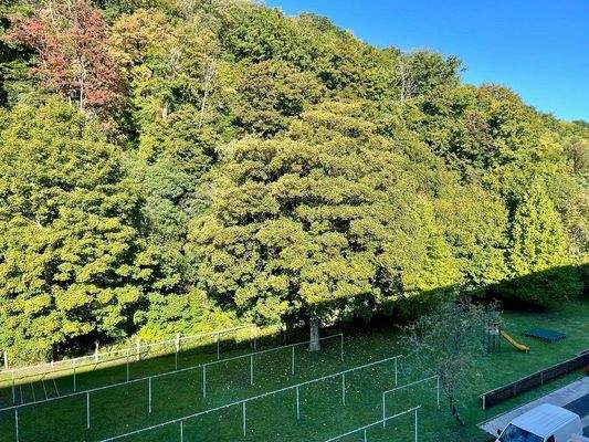 59-4-32 Ausblick Schlafzimmer, Küche, Bad.jpg