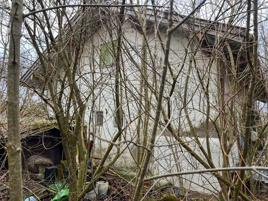 Altbestand