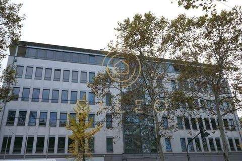 Frankfurt am Main Büros, Büroräume, Büroflächen 