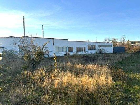 Ostansicht - Grünfläche mit Regenwasserteich.JPG