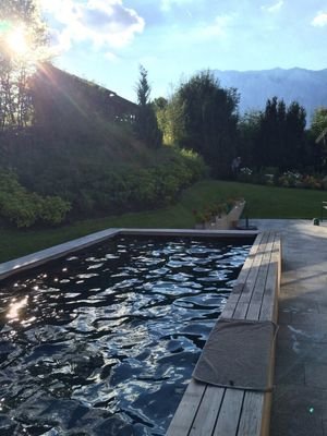 Bild 15