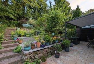 Ansicht Sommer Bangkiraiterrasse