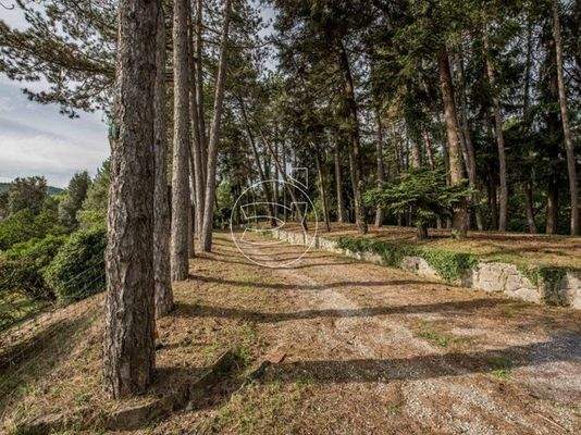 Anwesen in ländlicher Lage