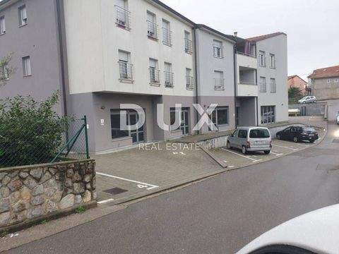 Viskovo Ladenlokale, Ladenflächen 