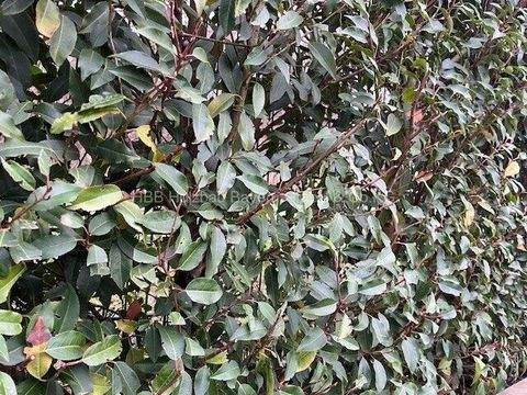 Sulzbach am Main Grundstücke, Sulzbach am Main Grundstück kaufen