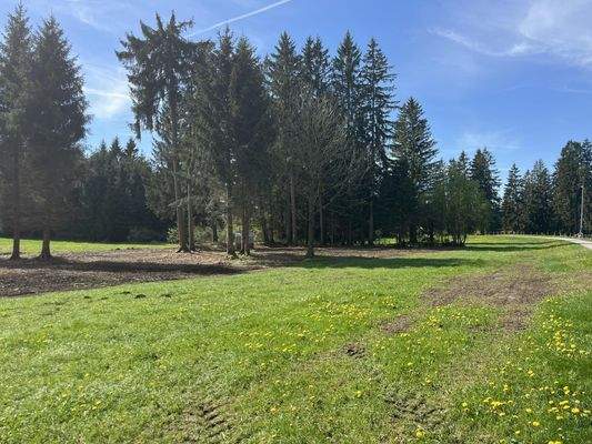 Freizeitsgrundstück