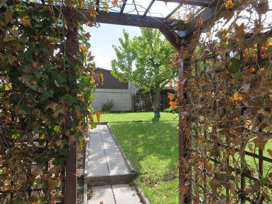 Erhöhter Gartenbereich