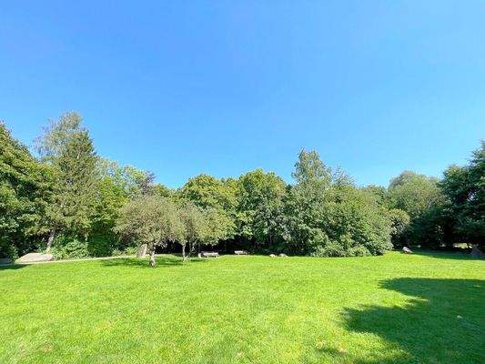 Weitläufige Landschaft im Weißenseepark