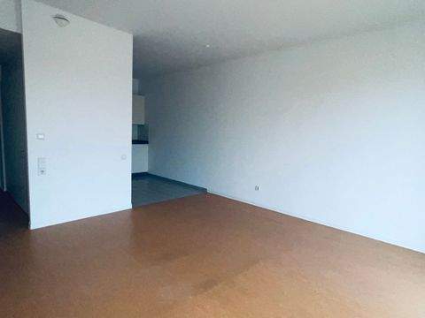 Hamburg Wohnungen, Hamburg Wohnung mieten