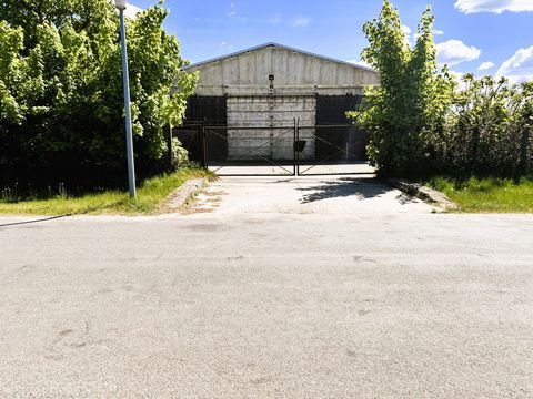 Vipperow Halle, Vipperow Hallenfläche